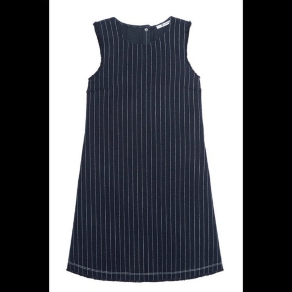 T Alexander Wang Pinstripe Dress